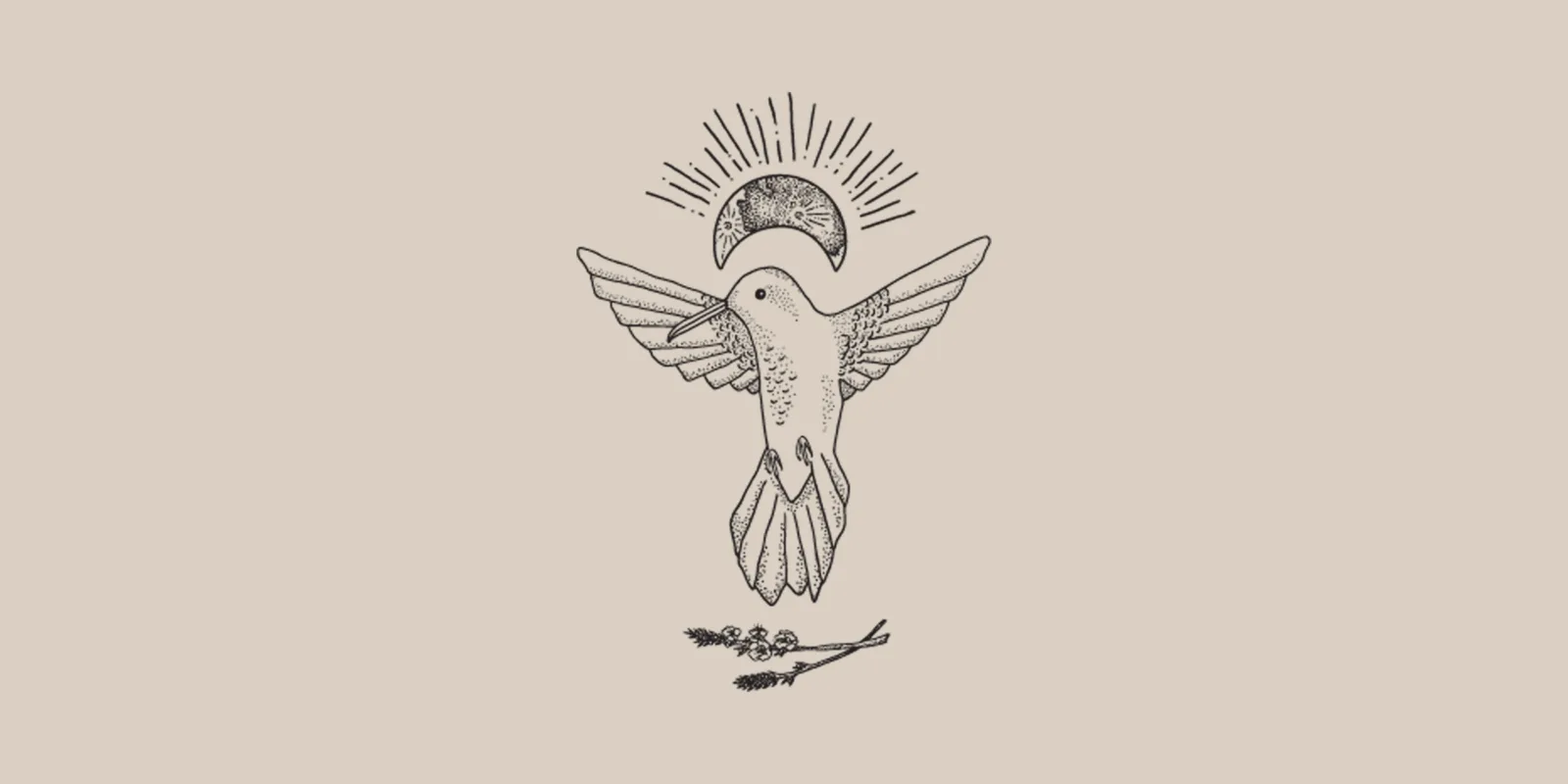 Colibri Medicine
