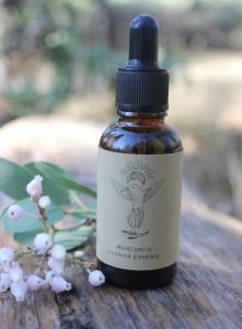 wild-crafted-manzanita-flower-essence